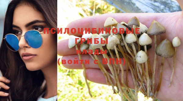 героин Богданович