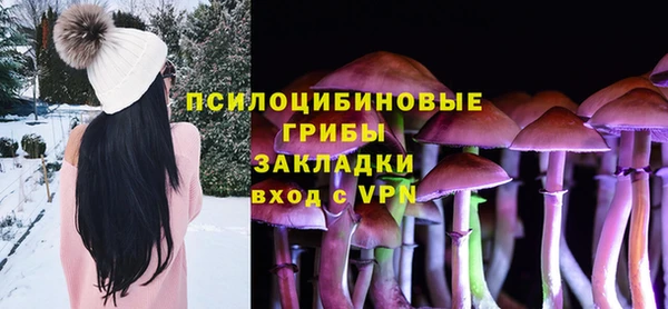 героин Богданович